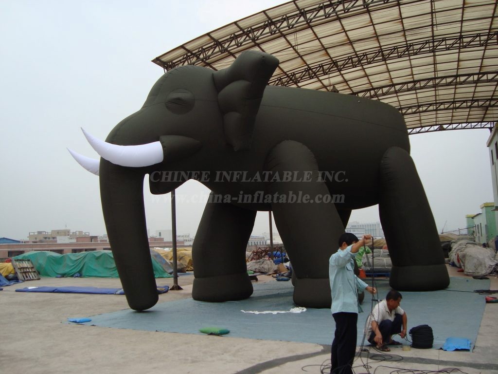 Cartoon1-807 Elephant Inflatable Cartoons