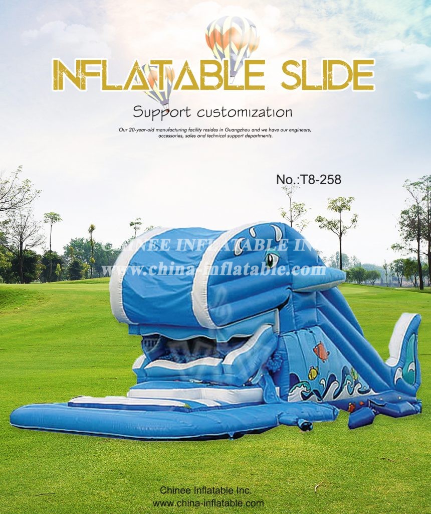 T8-258 - Chinee Inflatable Inc.