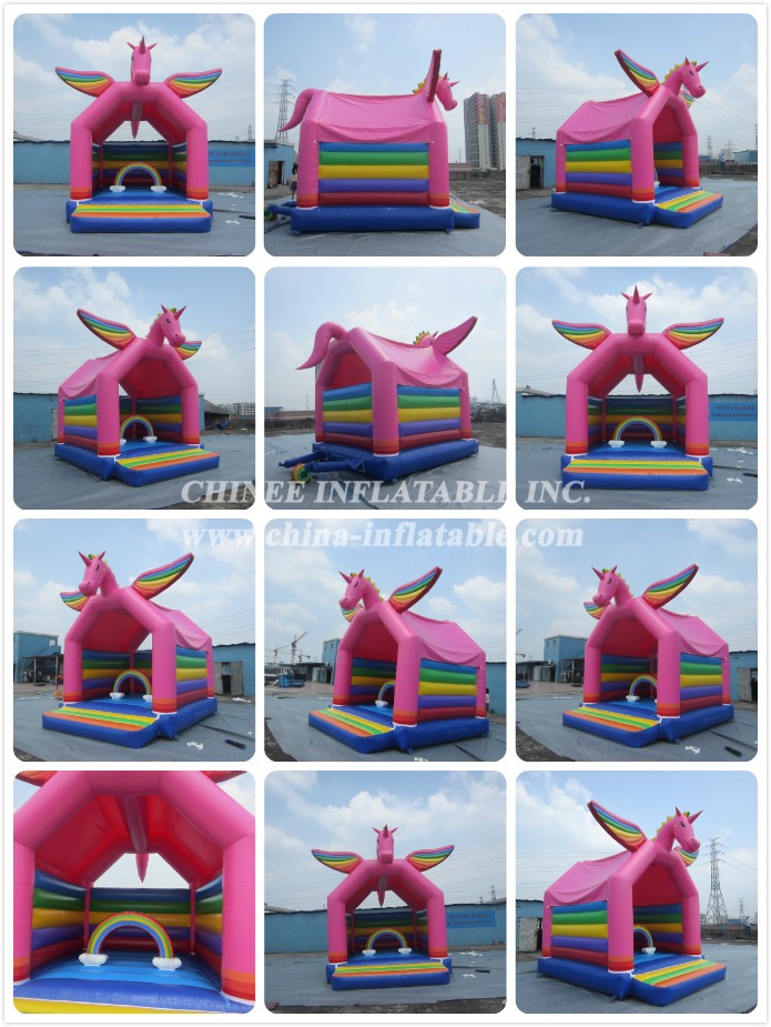 a - Chinee Inflatable Inc.