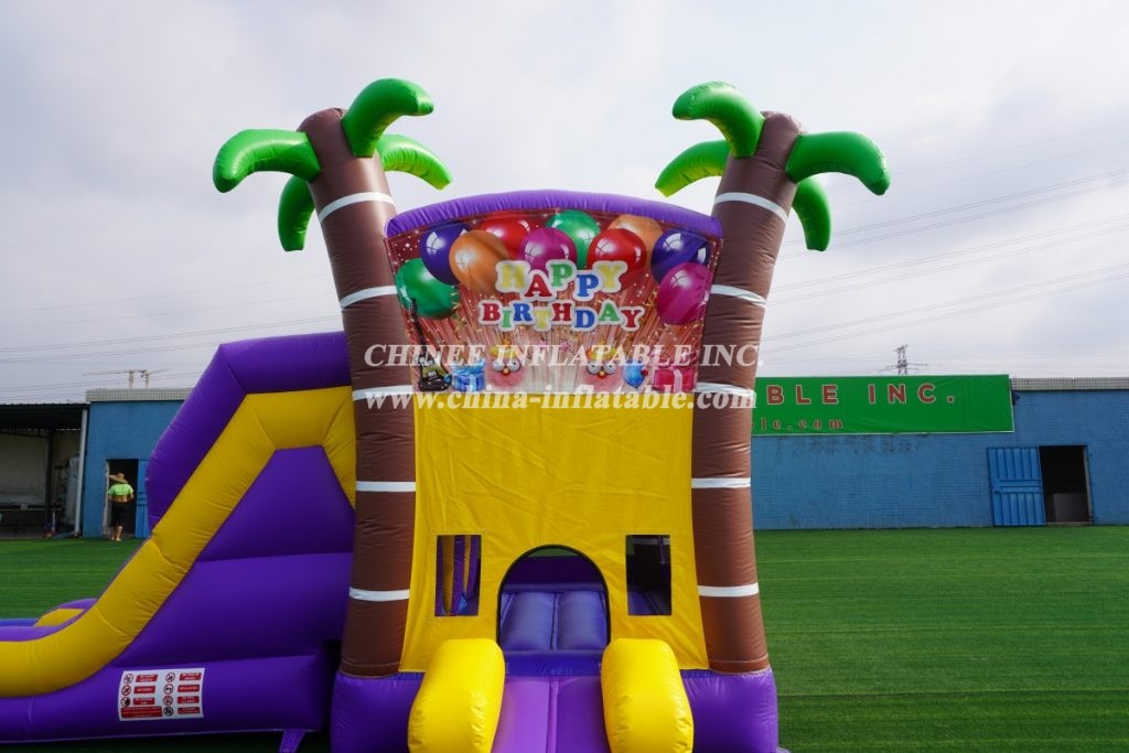 T2-3345 Paw Patrol Purple Palm Tree Water Slide Outdoor Bounce House Combo Slide