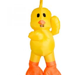 IC1-019 Chicken Costume