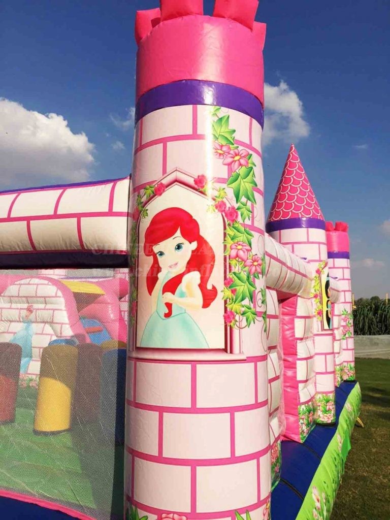 T2-4102 Princess Castle