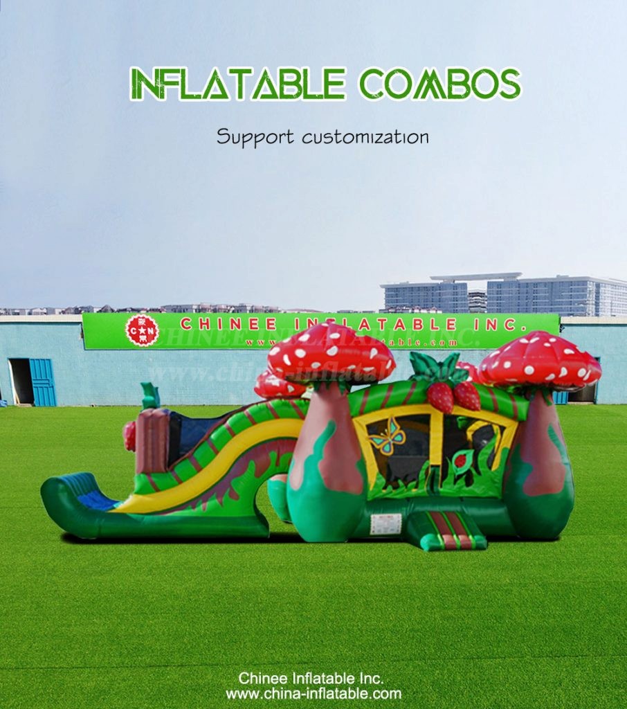 T2-4208-1 - Chinee Inflatable Inc.