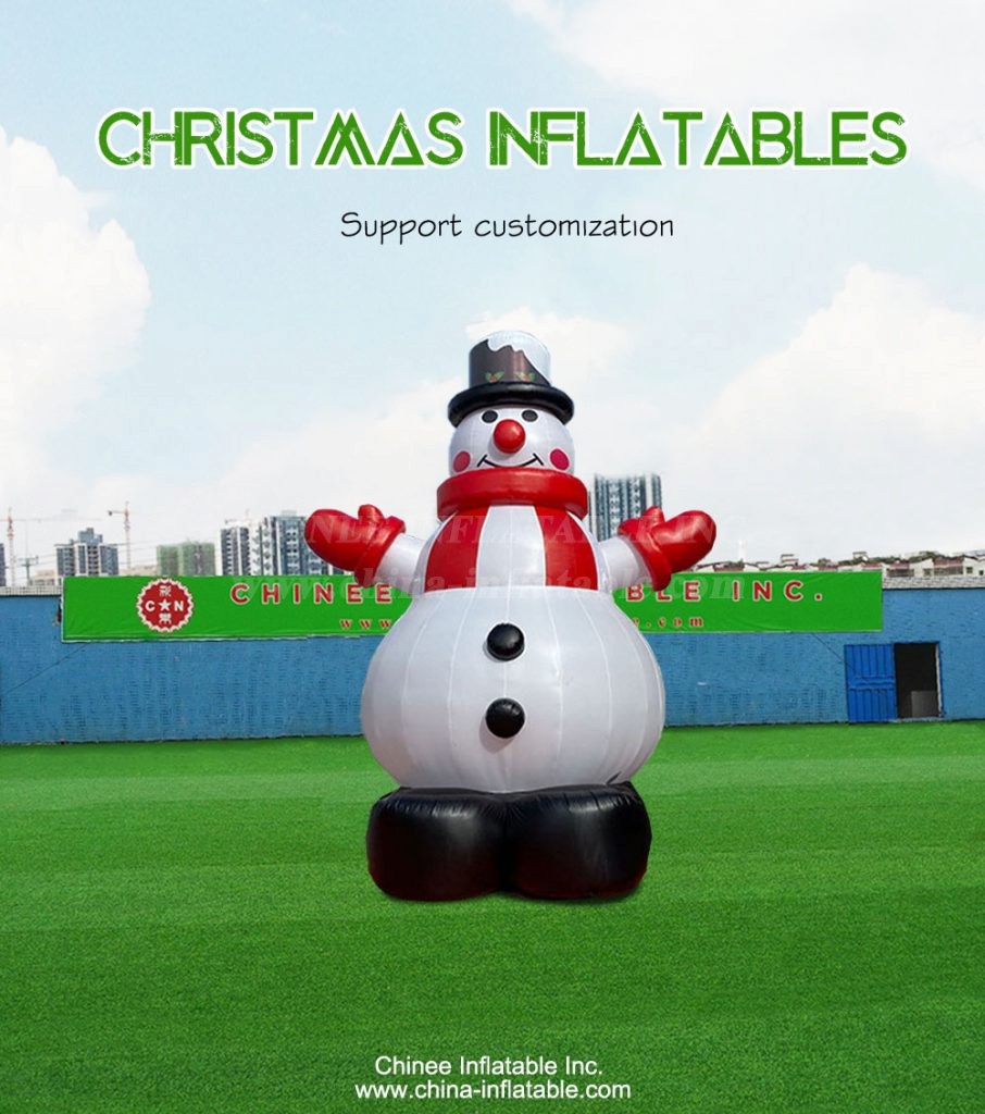 C1-284-1 - Chinee Inflatable Inc.
