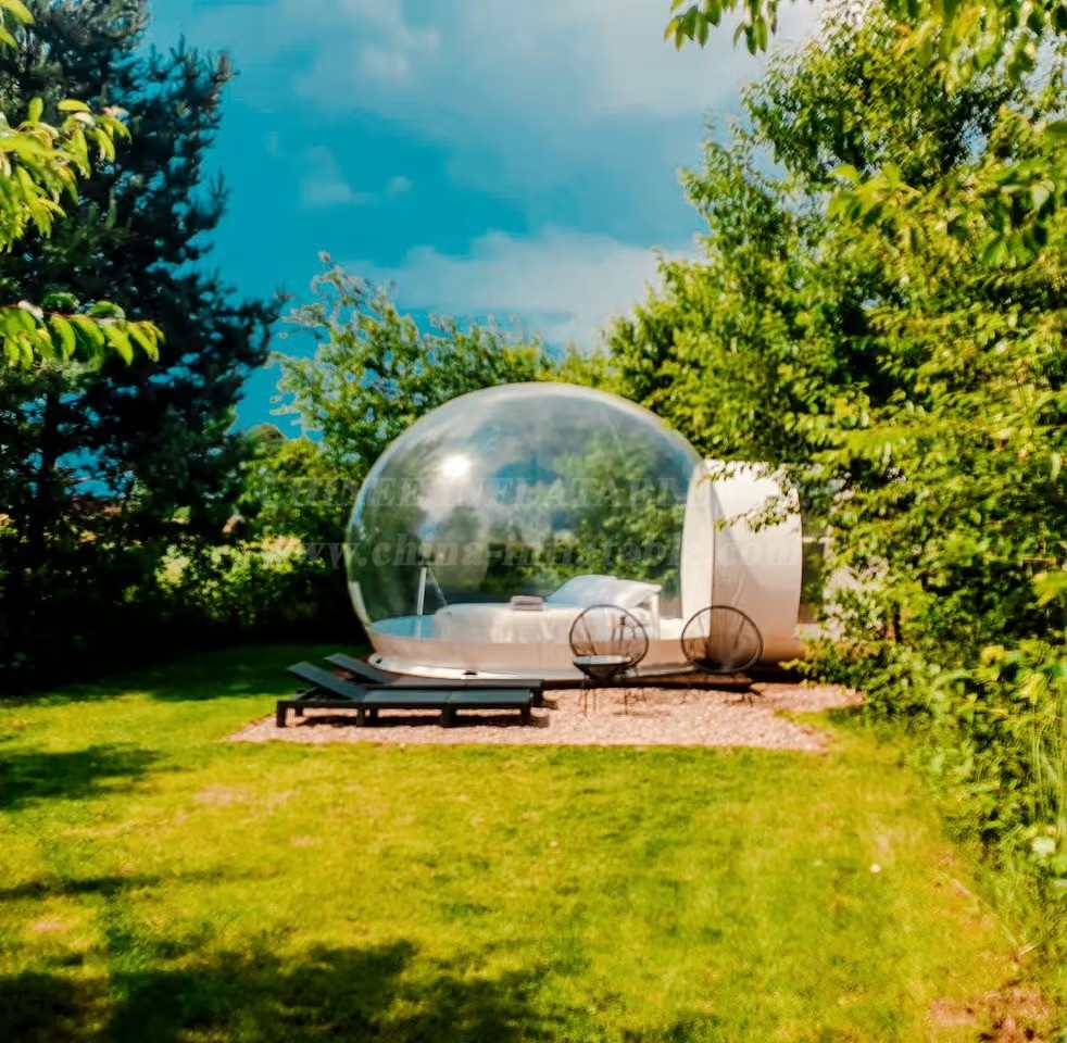 Tent1-5011 Transparent Bubble Tent Outdoor Hotel