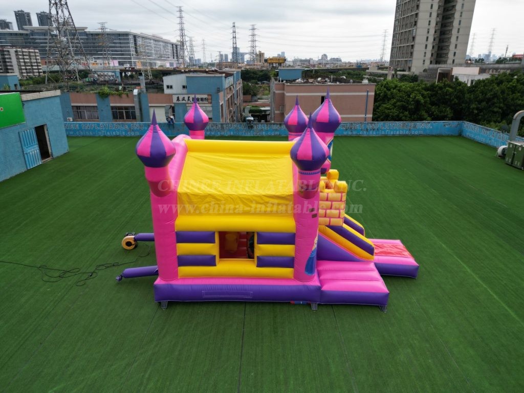 T2-4855 Princess Castle