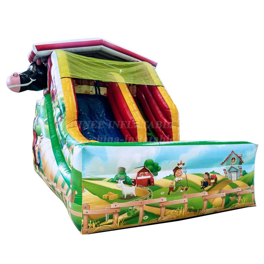 T8-4307 Farm Mini Slide