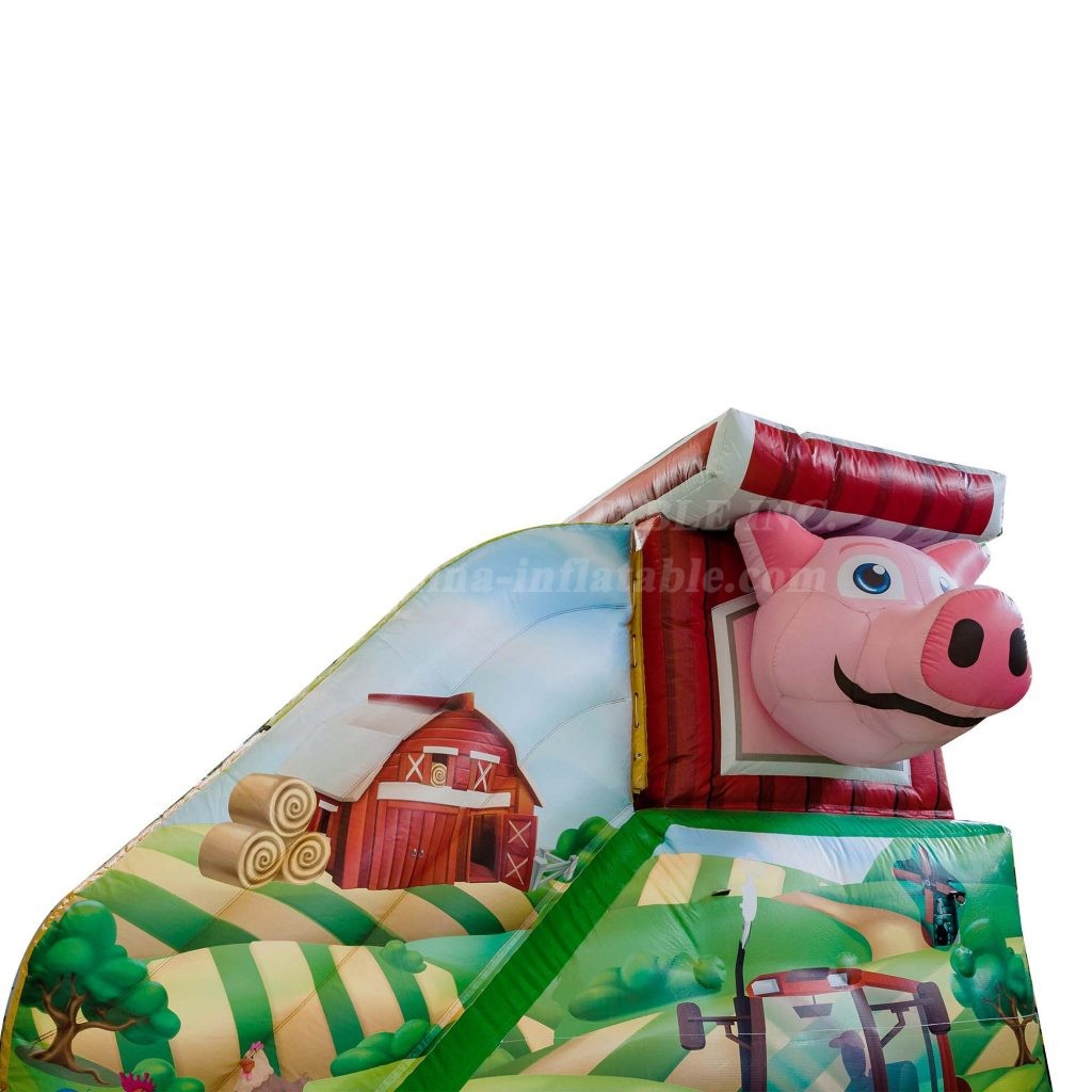 T8-4307 Farm Mini Slide