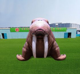 S4-653 Giant walrus ad walrus