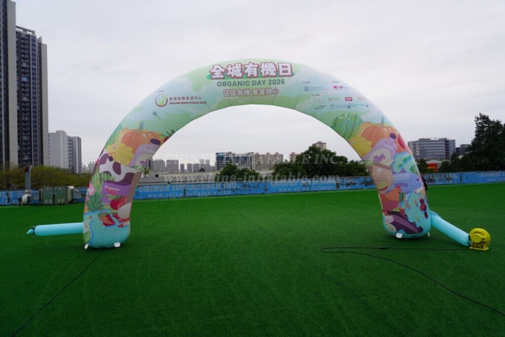 Arch2-502 Inflatable Arch