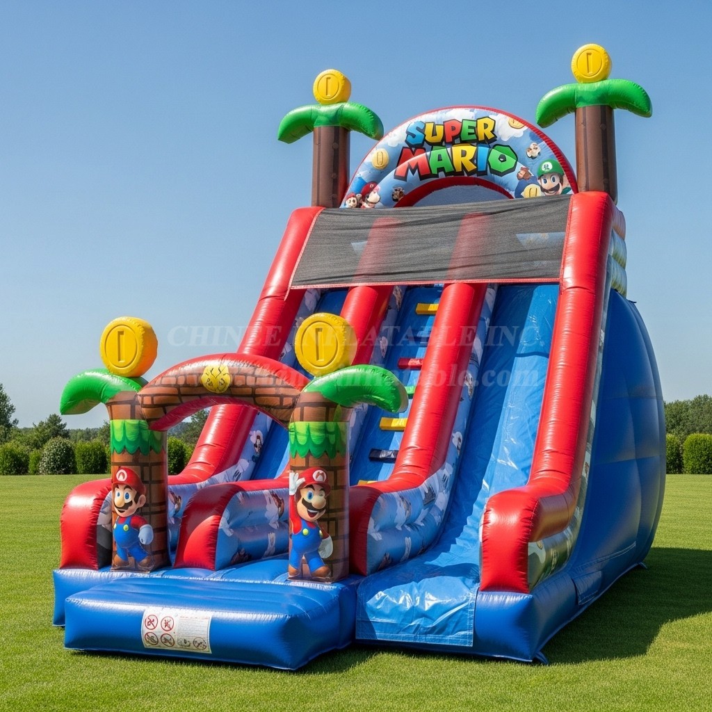 T8-8330 Super Mario Theme Inflatable Dry Slide