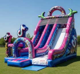 T8-8358 Tiktok Theme Inflatable Dry Slide