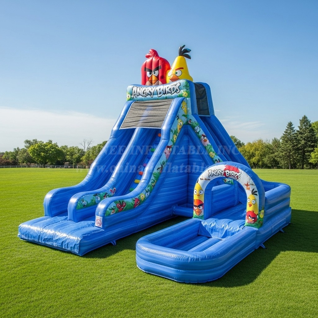 T8-8601 Angry Birds Theme Inflatable Water Slide