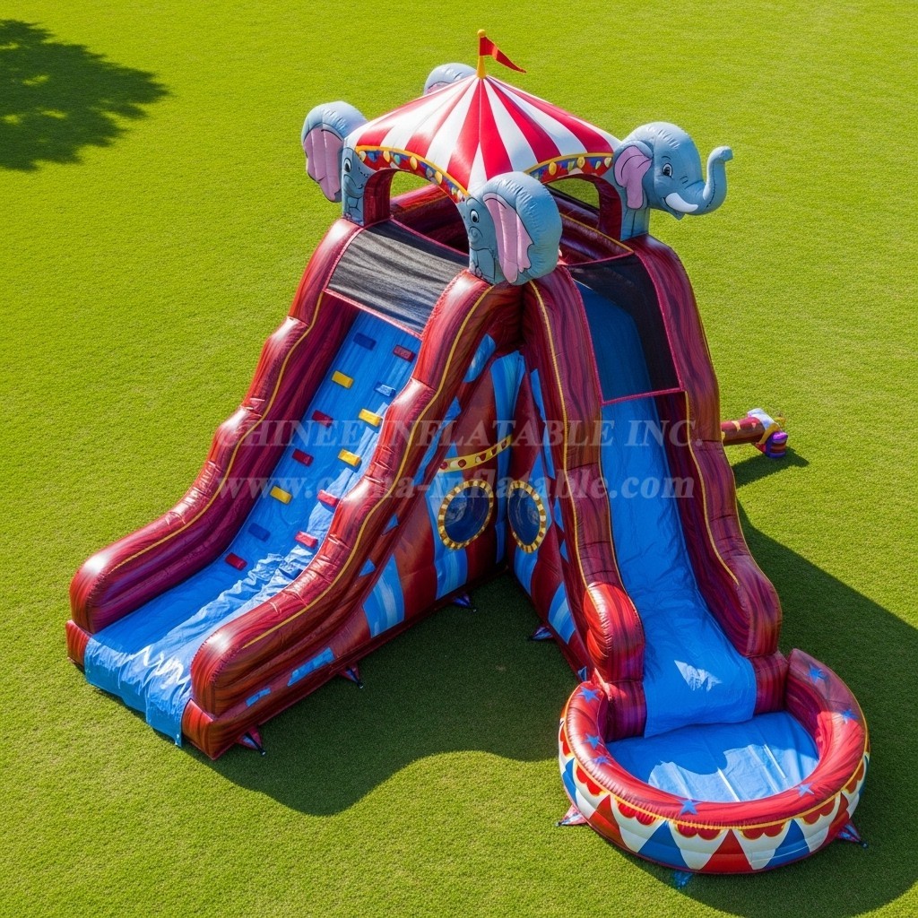 T8-5494 Circus Theme Inflatable Water Slide