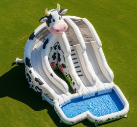 T8-5505 Cow Theme Inflatable Water Slide