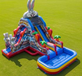 T8-7301 Looney Tunes Theme Inflatable Water Slide