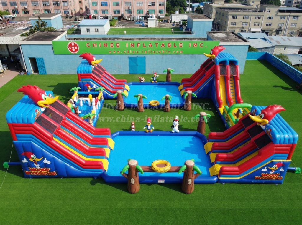 Pool3-788 Woody Woodpecker Theme Pool Water Park