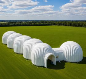 Tent1-6291 Dome Corridor Inflatable Tent