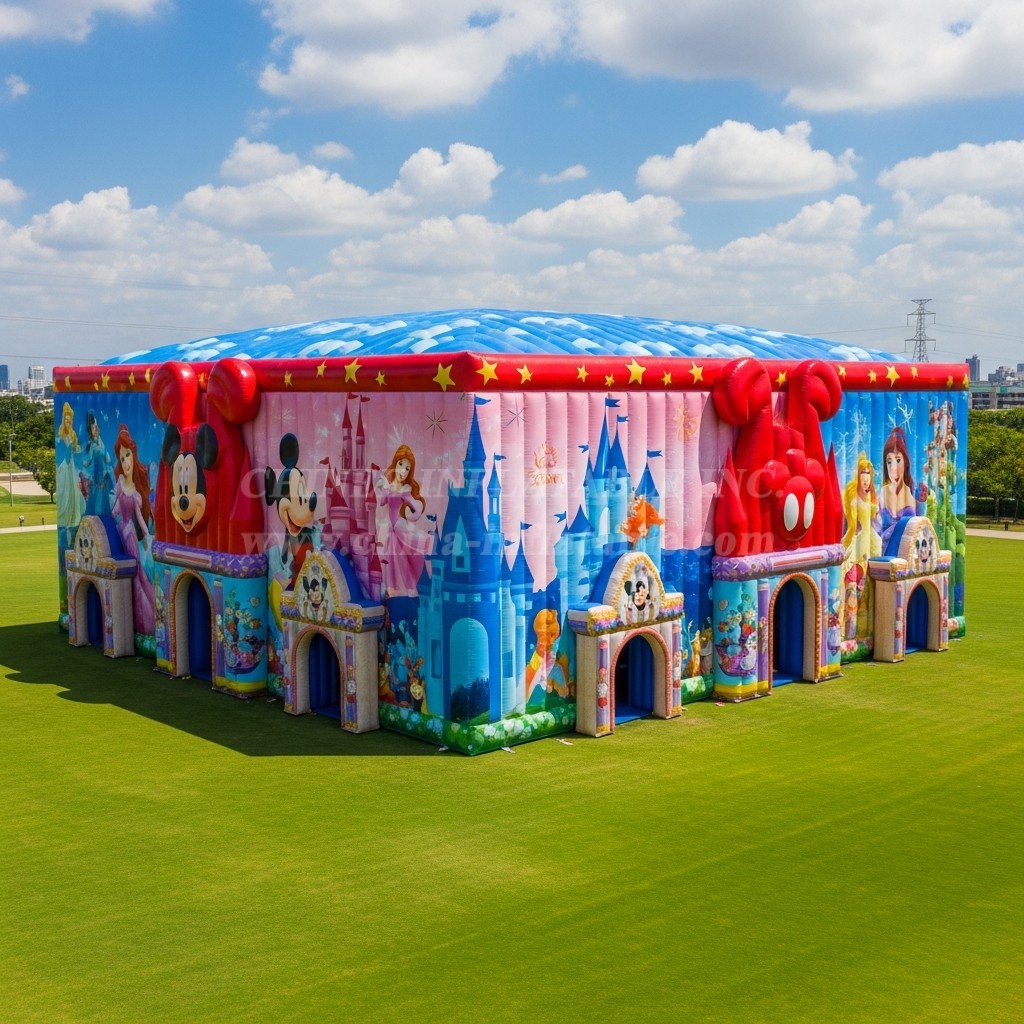 Tent1-6398 Disney Inflatable Rectangular Pavilion