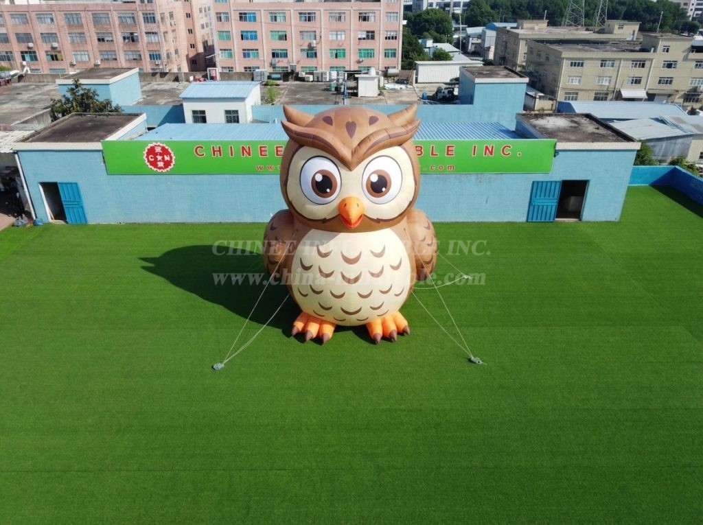 Cartoon3-829 Owl Theme Inflatable Cartoon