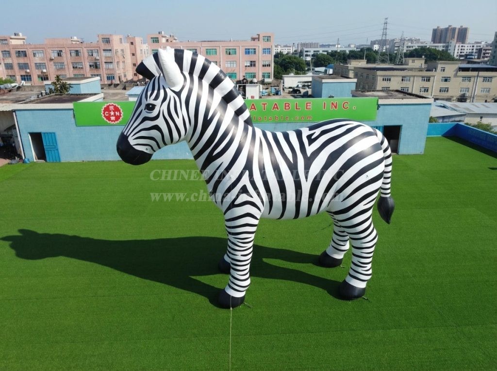 Cartoon3-893 Zebra Theme Inflatable Cartoon