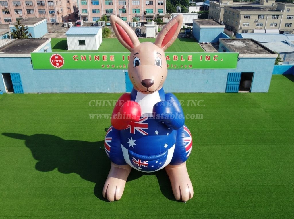 Cartoon3-901 Australia Theme Inflatable Cartoon