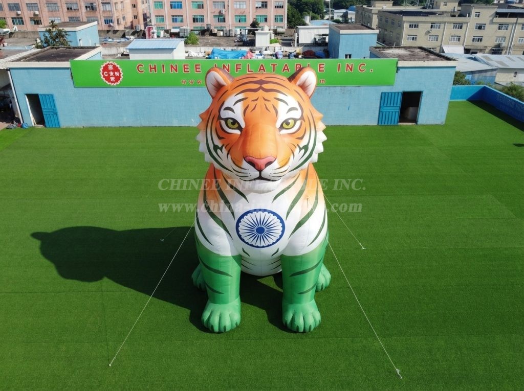 Cartoon3-925 India Theme Inflatable Cartoon