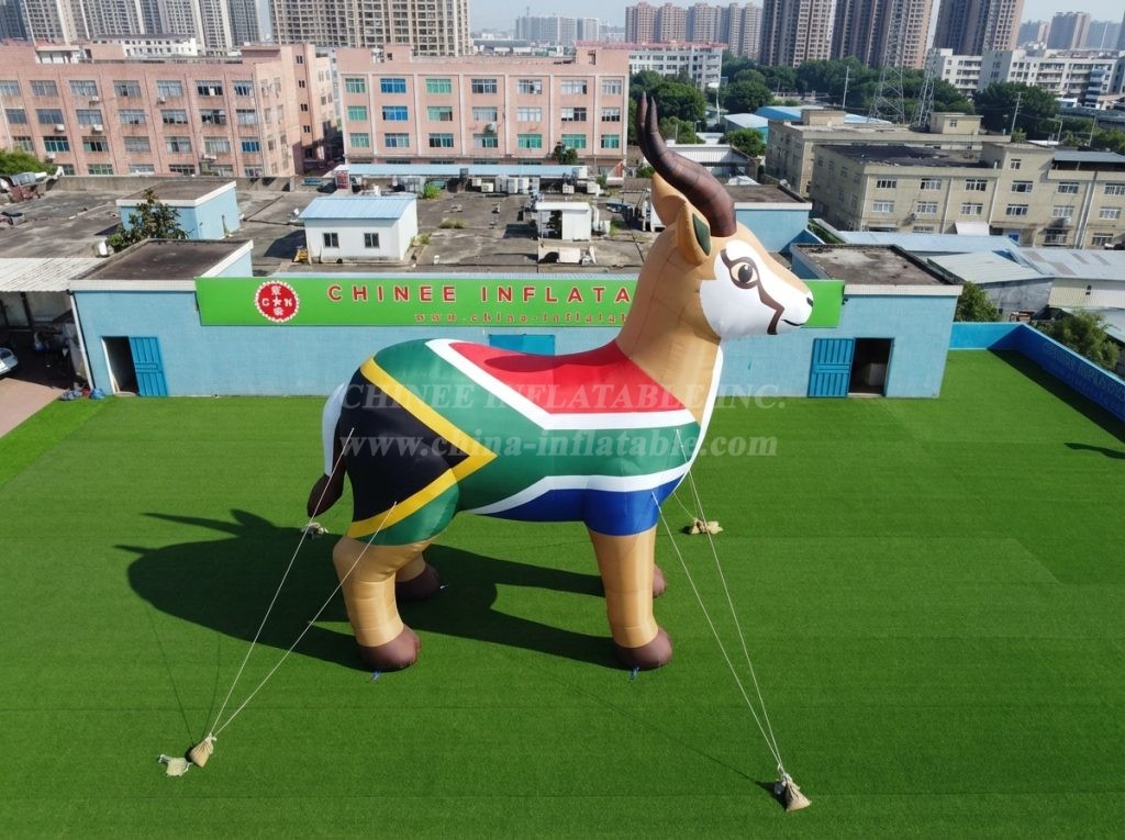Cartoon3-964 South Africa Theme Inflatable Cartoon