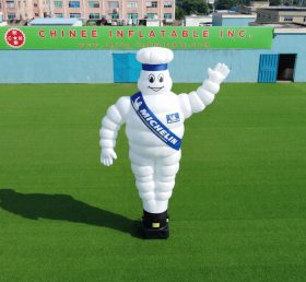 D3-63 Michelin Air Dancer