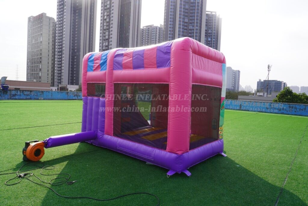 T2-4794B Princess Party Theme Inflatable Castle with Slide