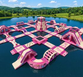 S645 Pink Panther Theme Inflatable Water Park