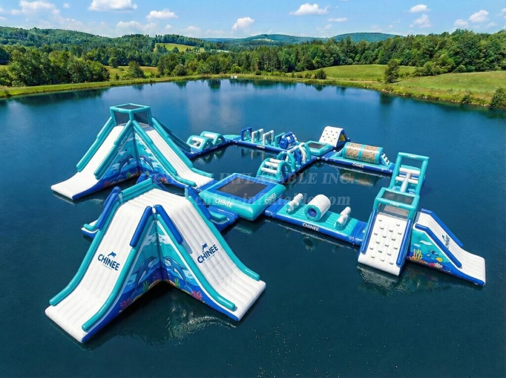 S678 Dolphin Theme Inflatable Water Park