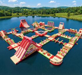 S708 Strawberry Shortcake Theme Inflatable Water Park